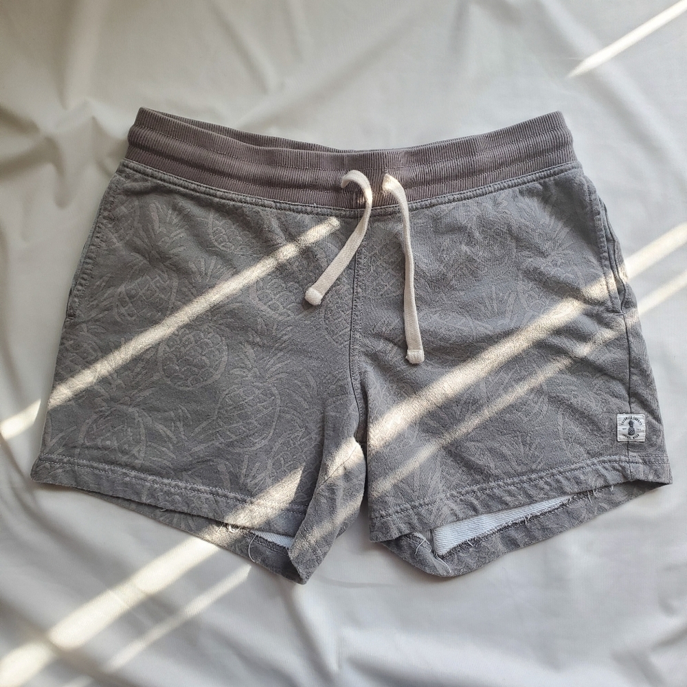 Men's Chubbies Shorts